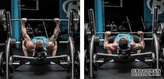 卧推应该怎样练 卧推的科学训练方法 卧推应该怎样练 卧推的科学训练方法