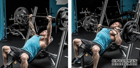 卧推应该怎样练 卧推的科学训练方法 卧推应该怎样练 卧推的科学训练方法