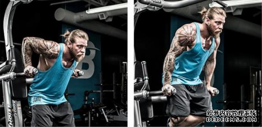 卧推应该怎样练 卧推的科学训练方法 卧推应该怎样练 卧推的科学训练方法