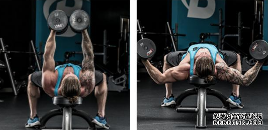 卧推应该怎样练 卧推的科学训练方法 卧推应该怎样练 卧推的科学训练方法